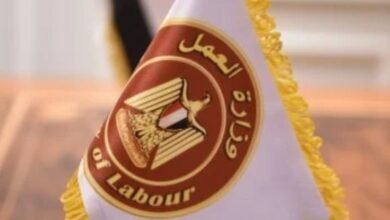 وزارة العمل تعلن عن وظائف جديدة بعقود سنوية في المديريات بالمحافظات